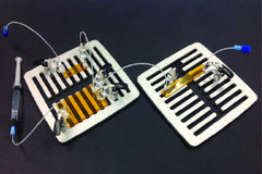 Chip Holders